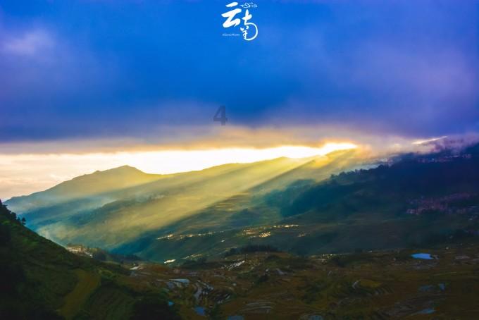 春雨直播app